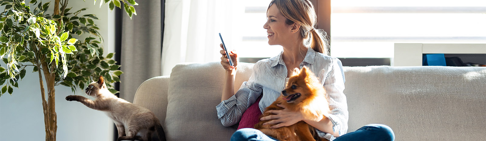 IMAGE: Woman with phone on couch holding small dog, looking at cat.