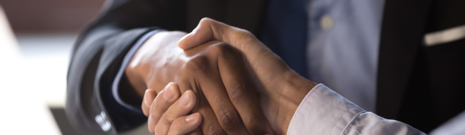 two people engaged in a handshake